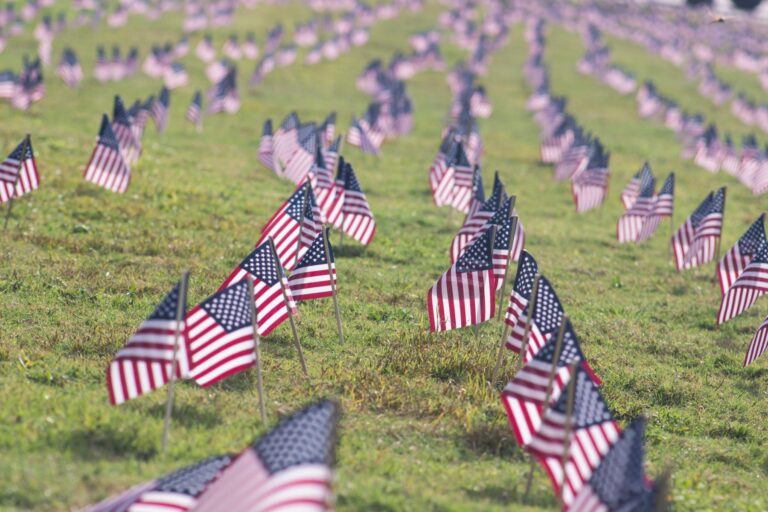 American flags in rows in grass