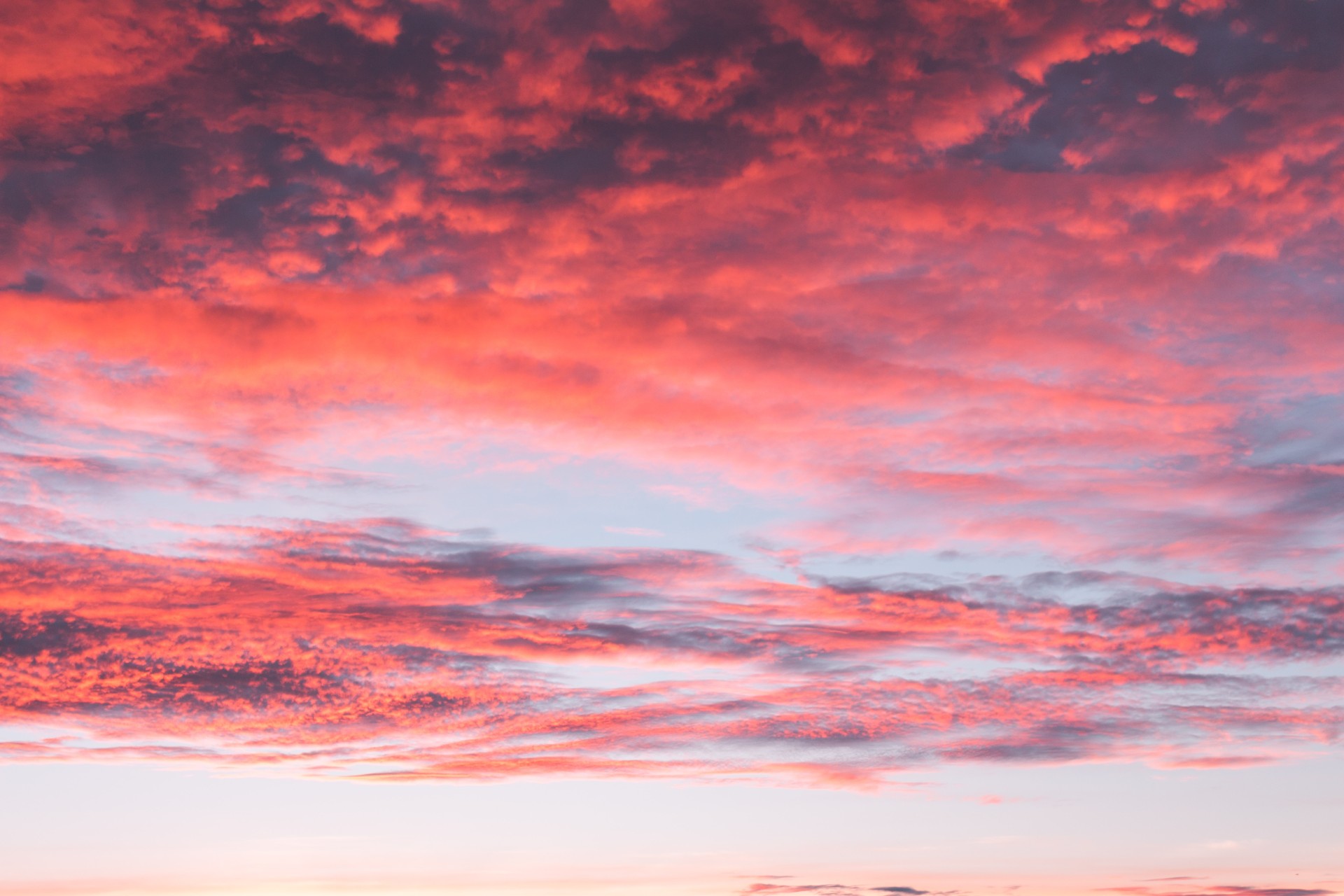 A sky filled with vibrant pink clouds during a colorful sunset.