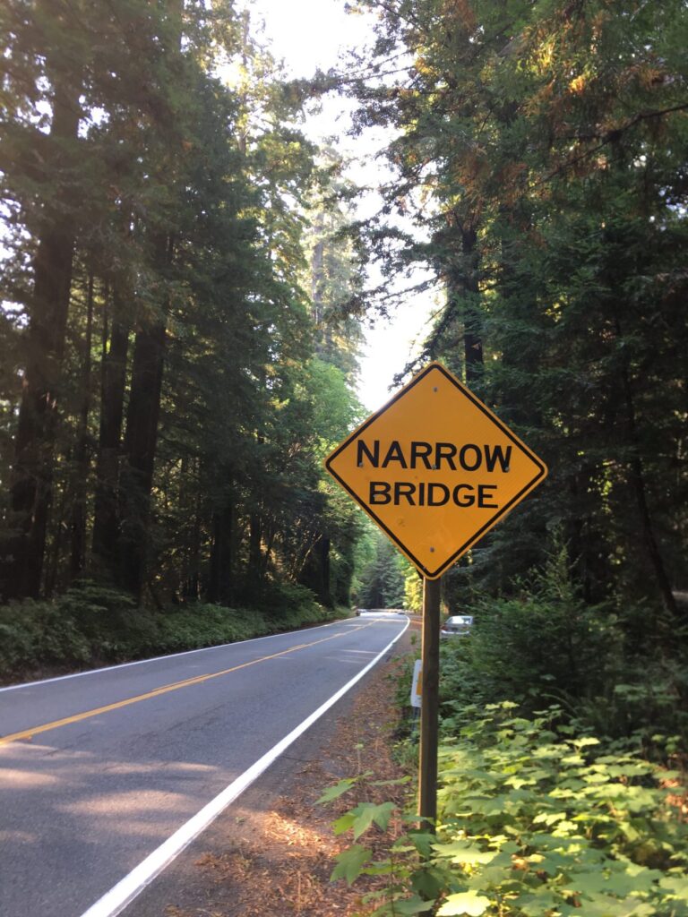 road between trees, sign reading "Narrow Bridge"