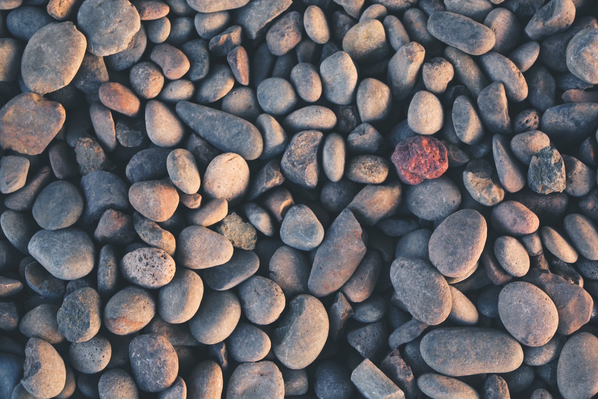 A collection of smooth, multicolored stones scattered closely together.