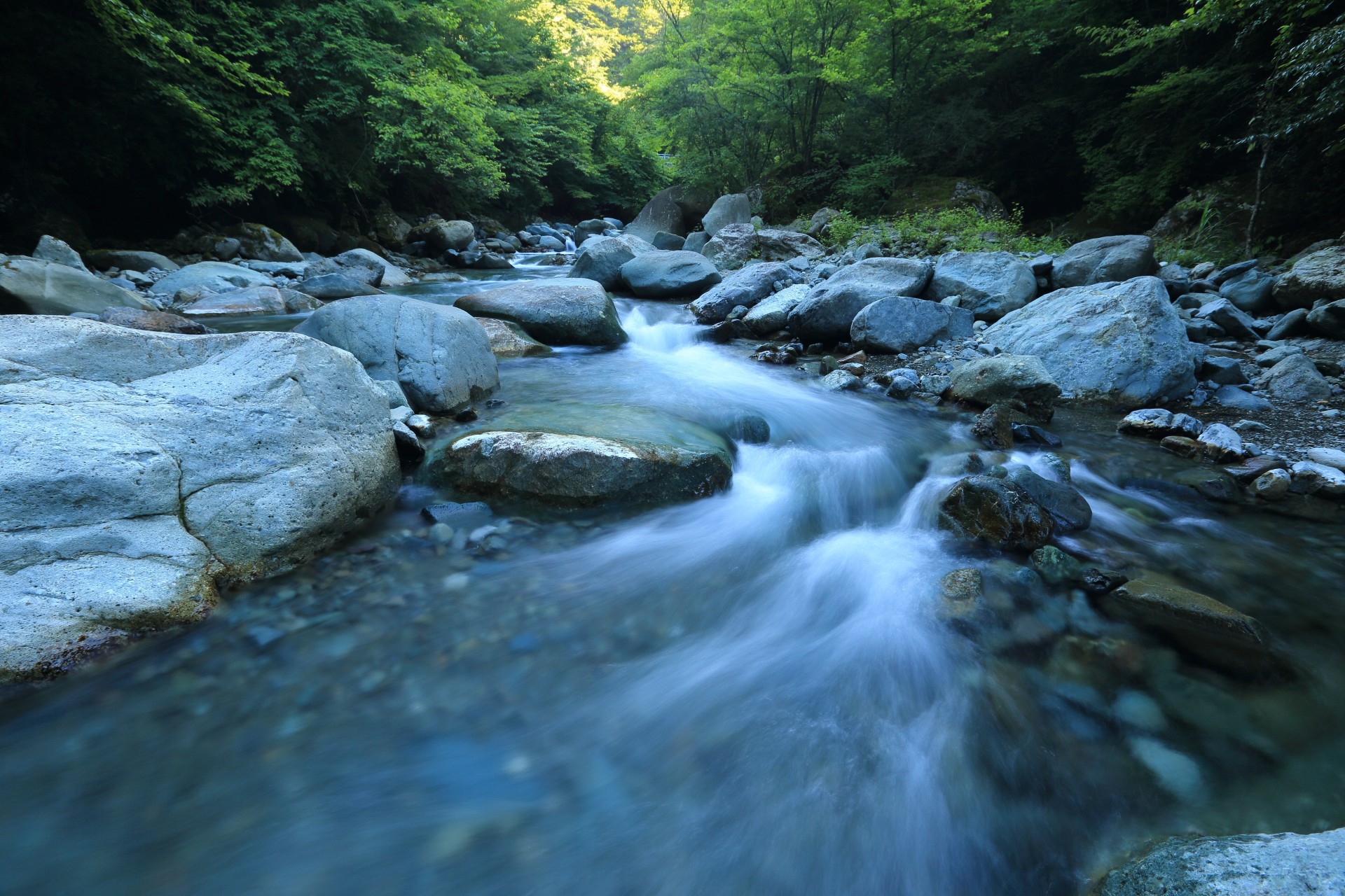 A tranquil stream flows over rocks in a lush green forest, with sunlight filtering through the trees.