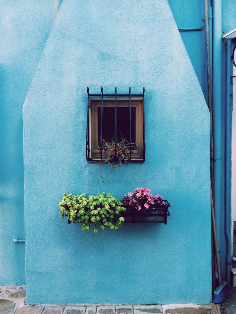 blue wall with window and window flower boxes