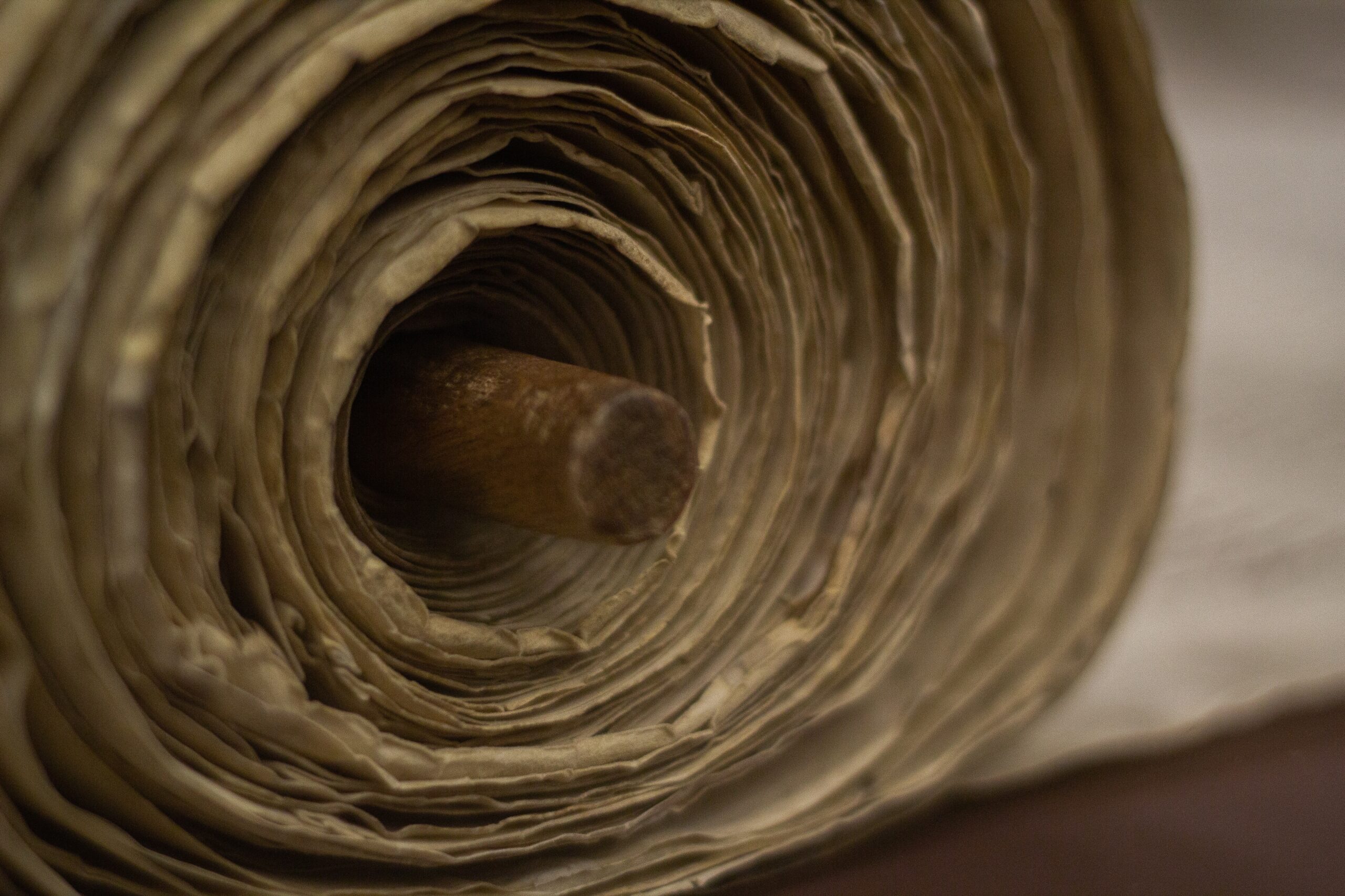 Close-up of a rolled parchment with a wooden rod in the center.