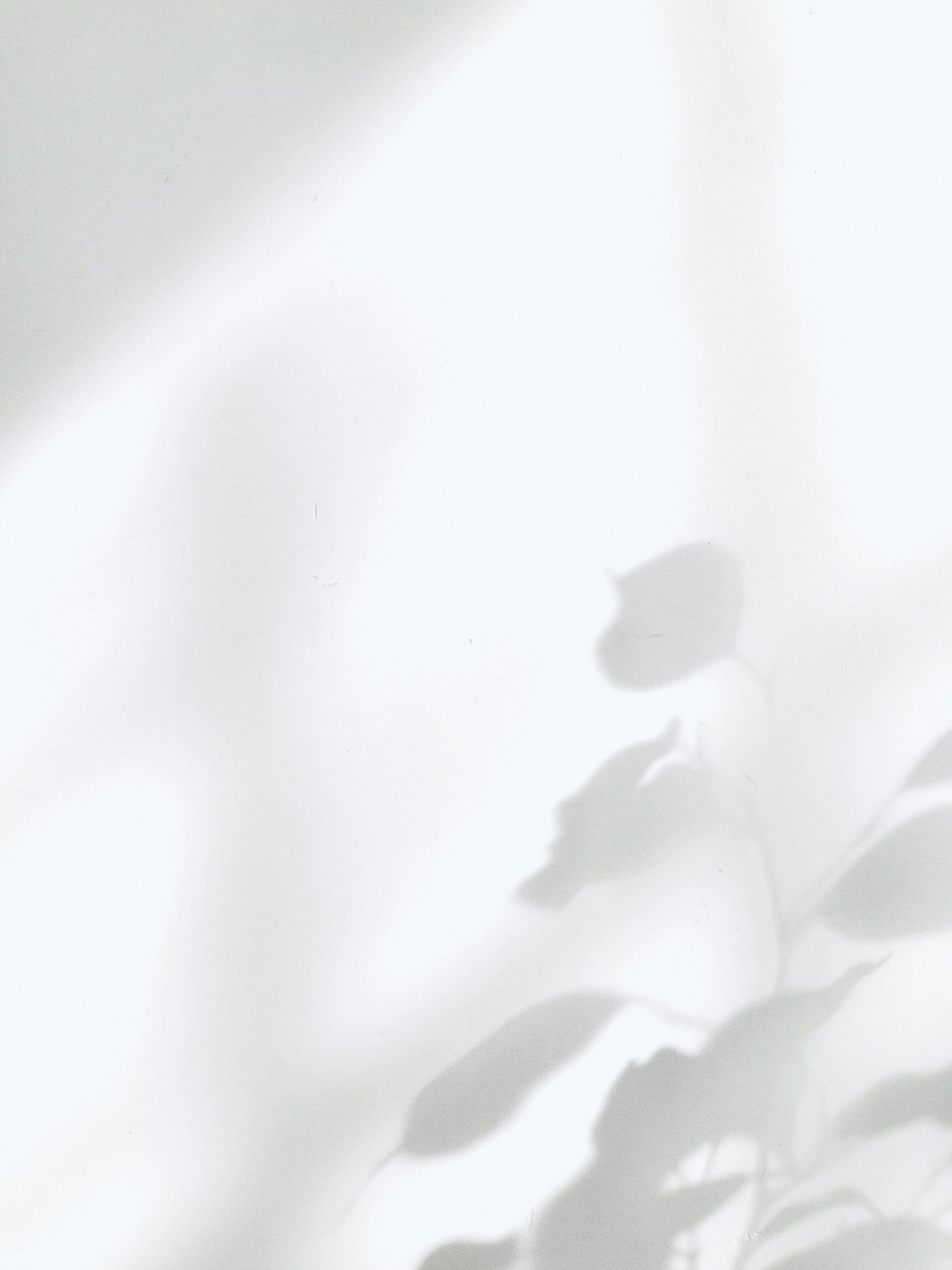 Soft shadows of leaves cast on a smooth, pale surface, creating a minimalistic and tranquil scene.