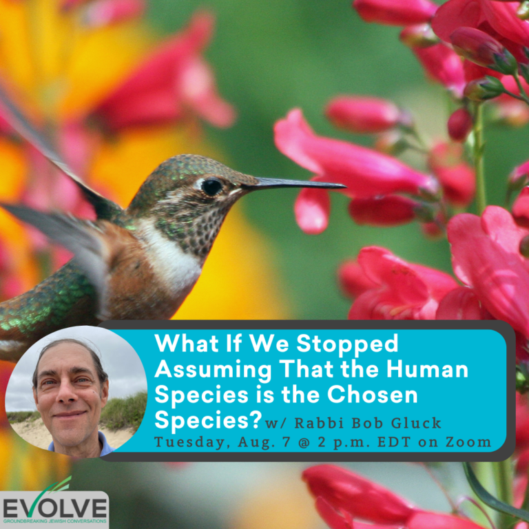 What If We Stopped Assuming That the Human Species is the Chosen Species? with Rabbi Bob Gluck