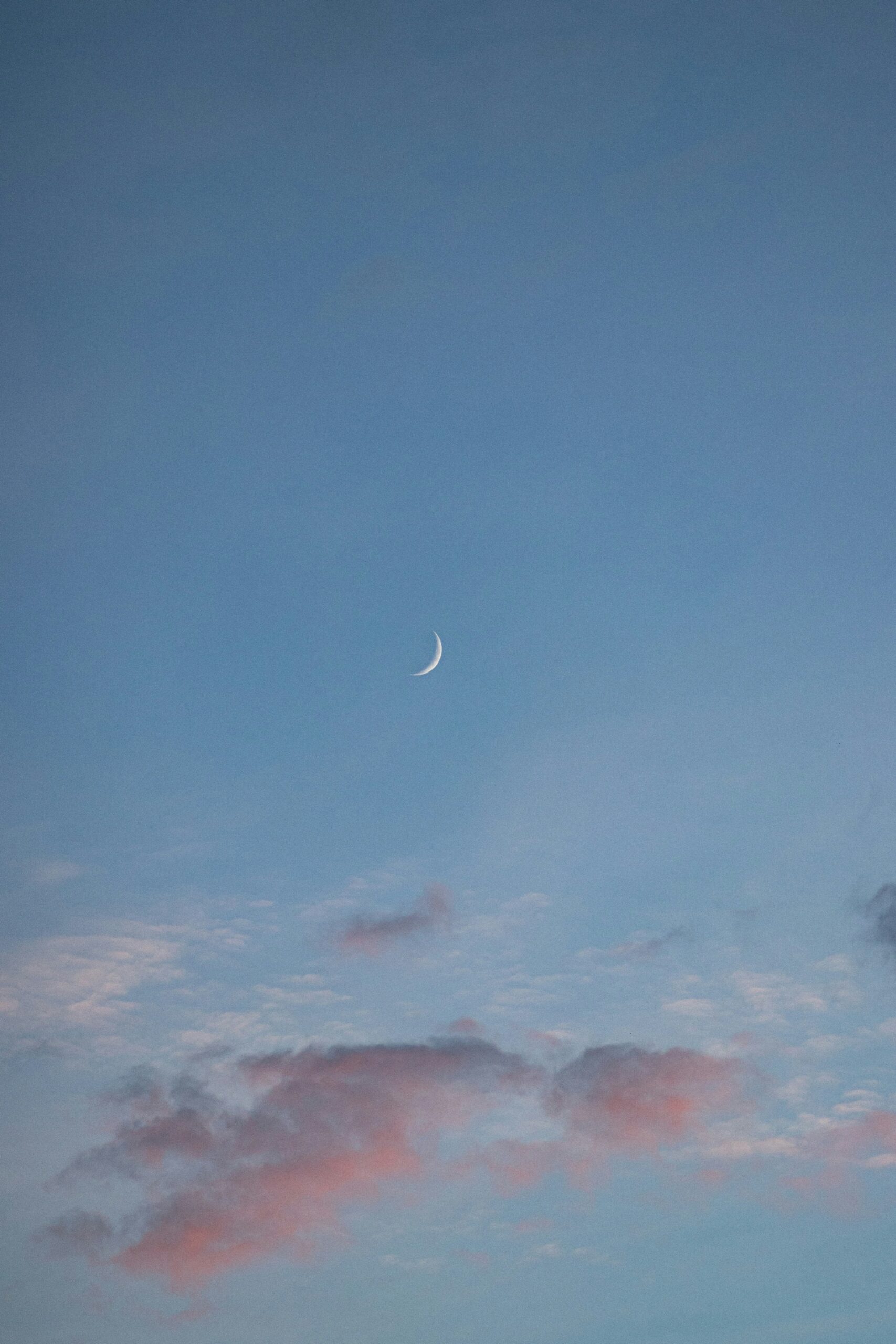 Crescent moon in a blue sky with pink clouds at sunset.