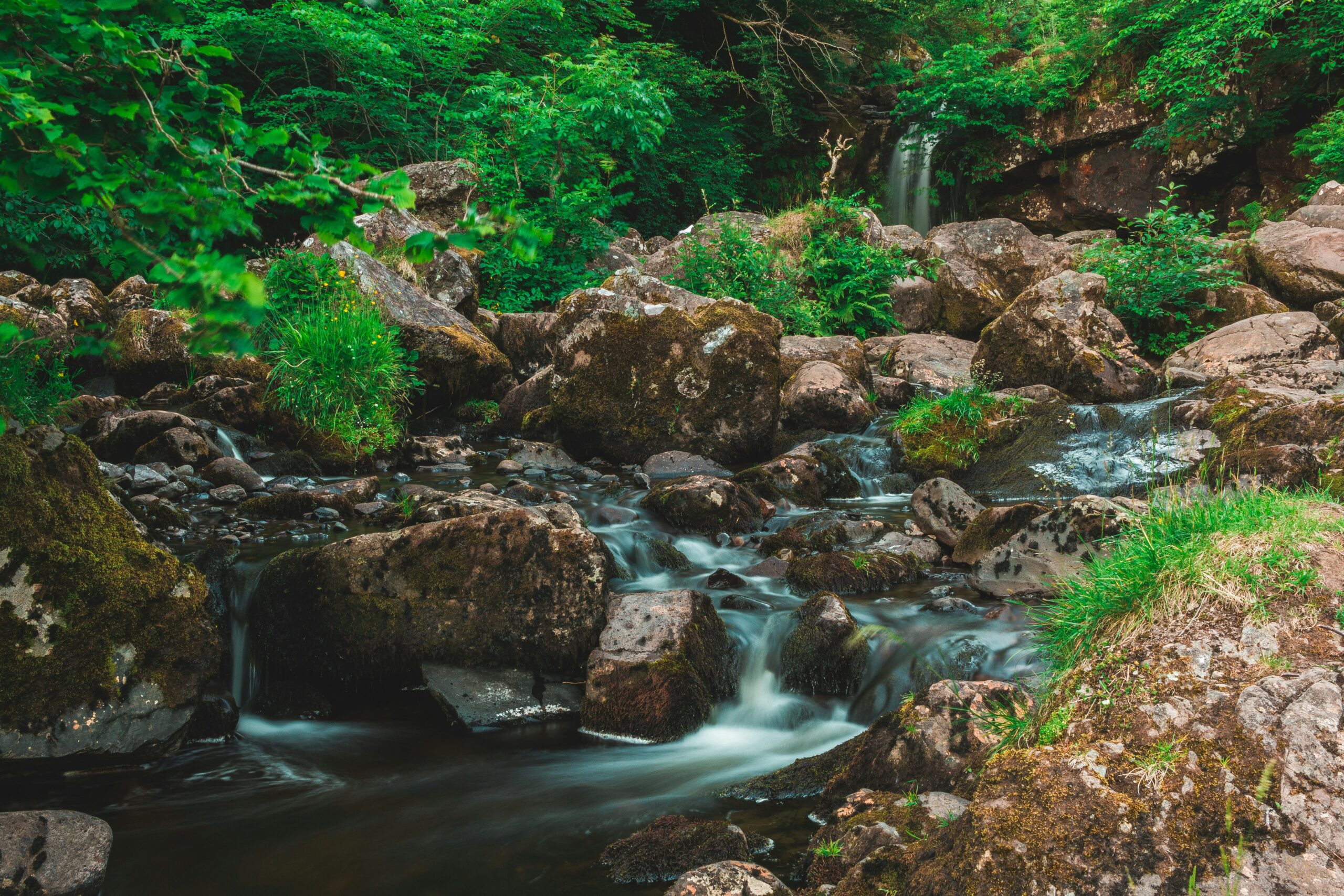 Rocky stream surrounded by lush green foliage, with a small waterfall in the background.
