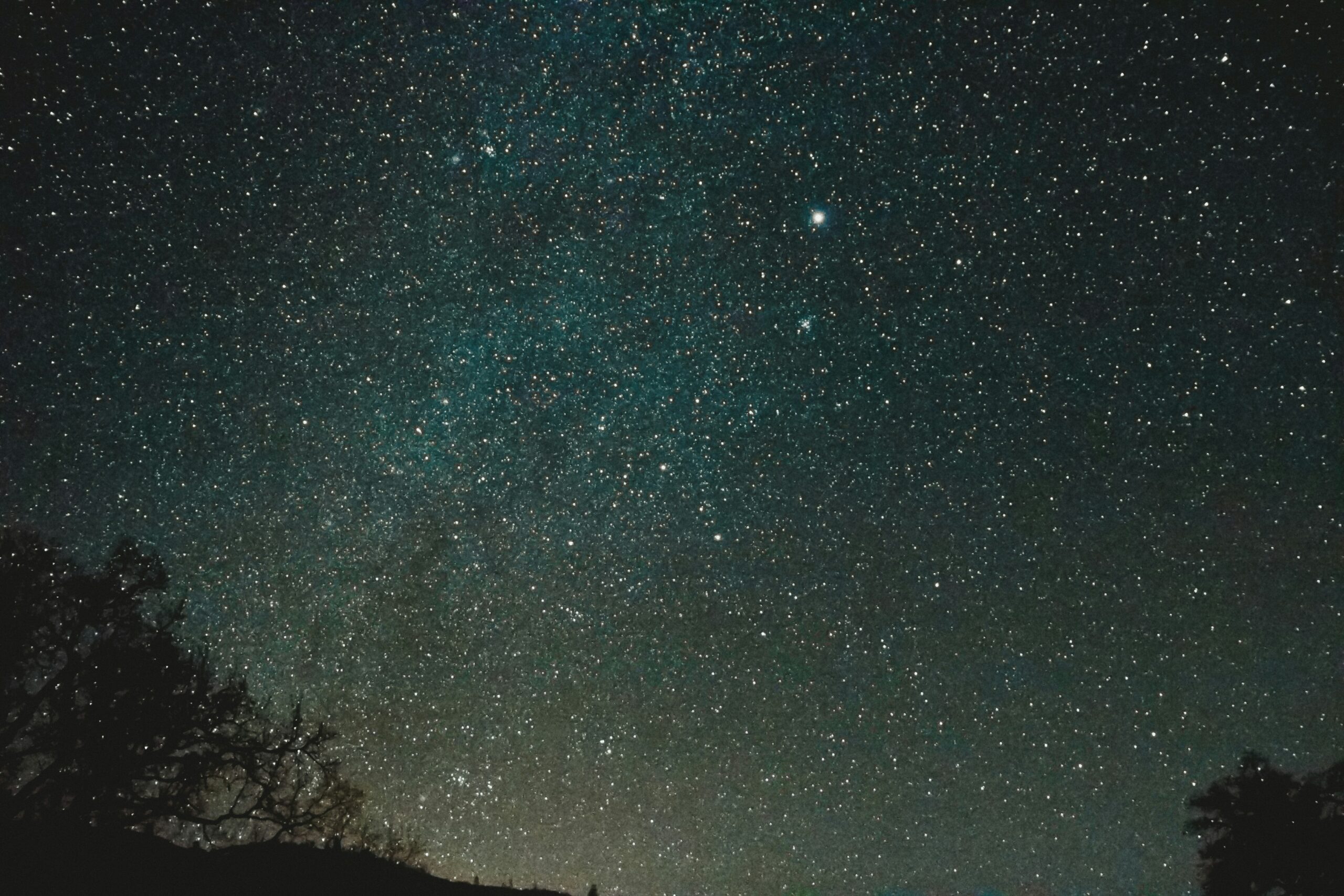 A starry night sky with scattered bright stars and silhouetted tree branches at the bottom.