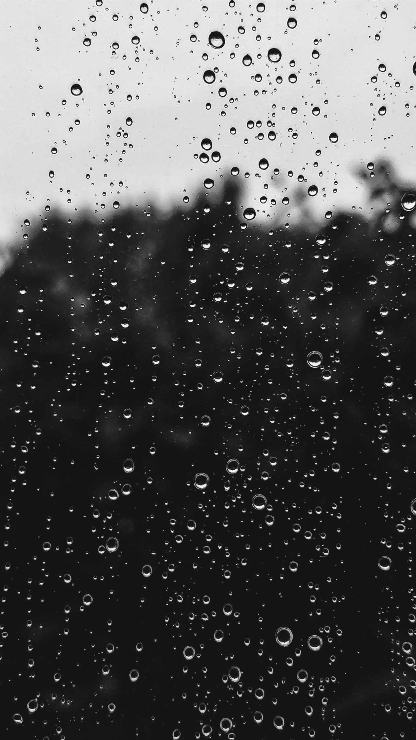 Raindrops on a window with a blurry view of trees in the background.