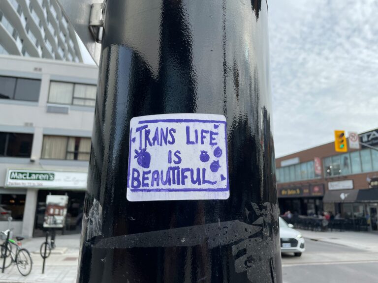 Sticker on a pole reads Trans Life Is Beautiful with purple flowers against an urban street background.