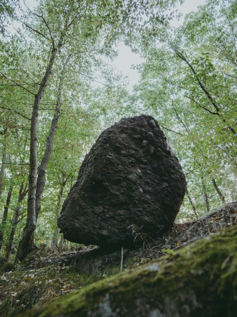 Large boulder balanced on a slope in a forest, surrounded by green trees and moss-covered ground.