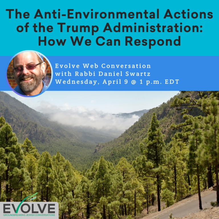 A forested mountain landscape with event details for a discussion on environmental actions featuring Rabbi Daniel Swartz.