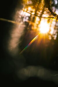 Sunlight shining through trees, creating a rainbow lens flare and soft, blurry light effects.