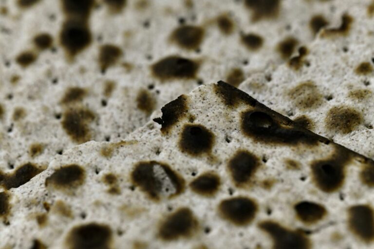Close-up of pieces of matzah bread, showing its crisp, dotted, and slightly burnt surface.
