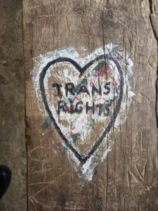 A heart with TRANS RIGHTS painted on a weathered wooden surface.