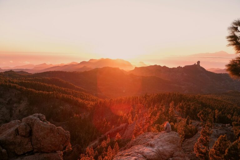 Sunset over a forested mountain landscape with a person sitting on rocks in the foreground.