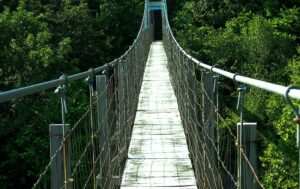 A narrow suspension bridge with wooden planks stretches over dense green forest.