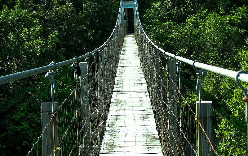 A narrow suspension bridge with wooden planks stretches over dense green forest.