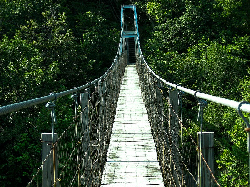 A narrow suspension bridge with wooden planks stretches over dense green forest.
