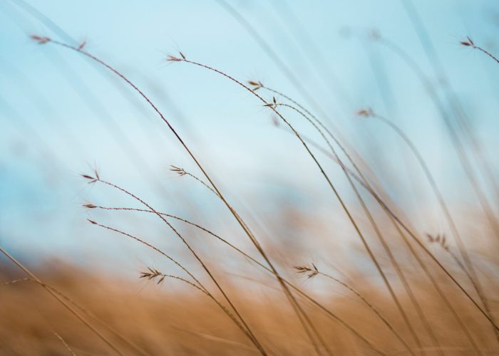 aaron-burden-tQF8FCNYNrk-unsplash