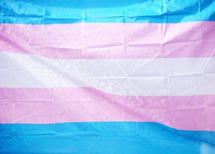 The transgender pride flag with blue, pink, and white stripes.