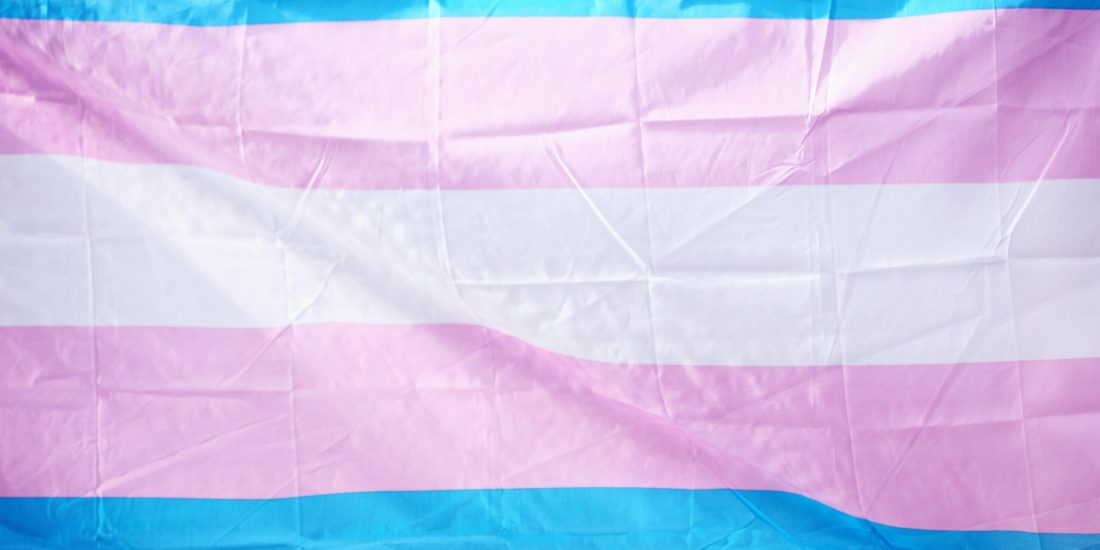 The transgender pride flag with blue, pink, and white stripes.