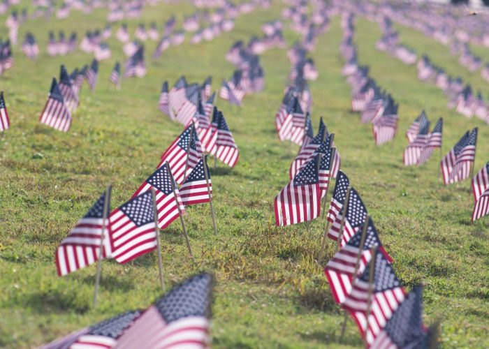 American flags in rows in grass