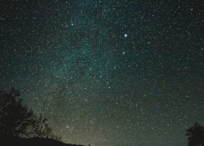 A starry night sky with scattered bright stars and silhouetted tree branches at the bottom.