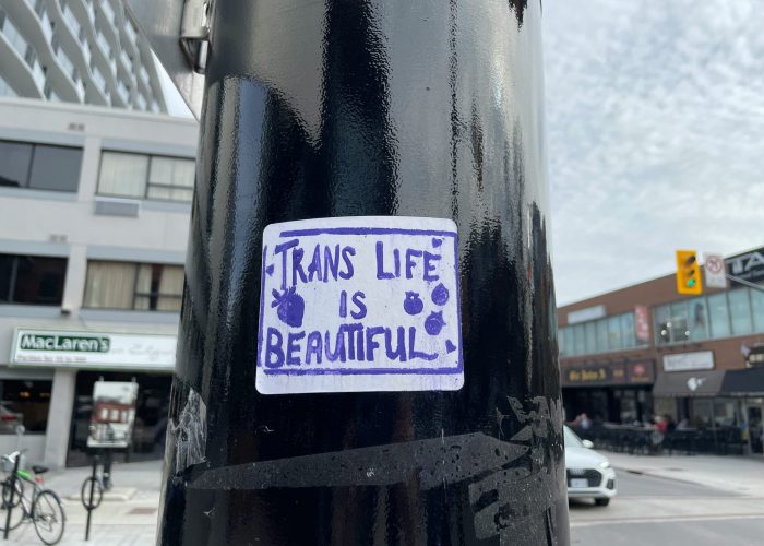 Sticker on a pole reads Trans Life Is Beautiful with purple flowers against an urban street background.