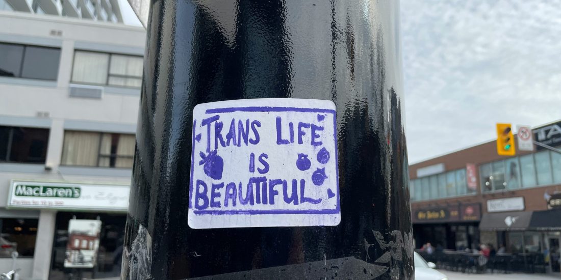 Sticker on a pole reads Trans Life Is Beautiful with purple flowers against an urban street background.