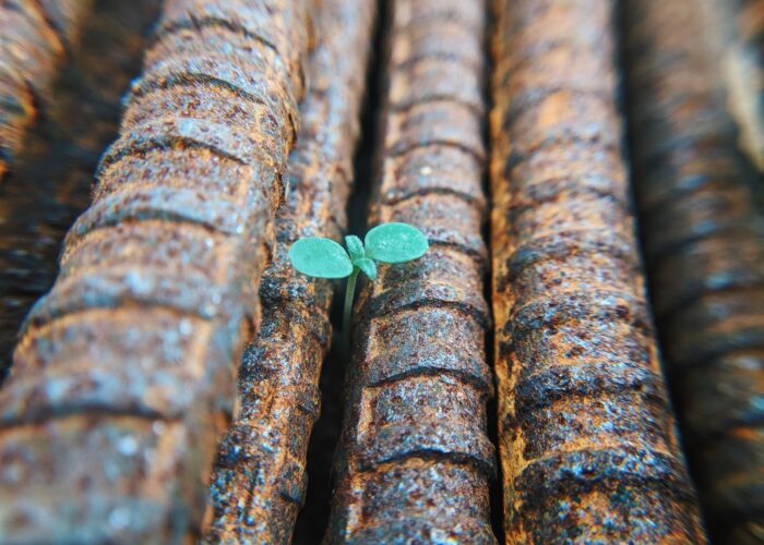 A tiny green plant grows between rusty metal bars, symbolizing resilience and hope.