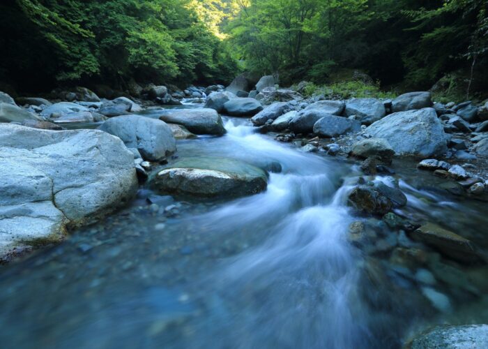 A tranquil stream flows over rocks in a lush green forest, with sunlight filtering through the trees.