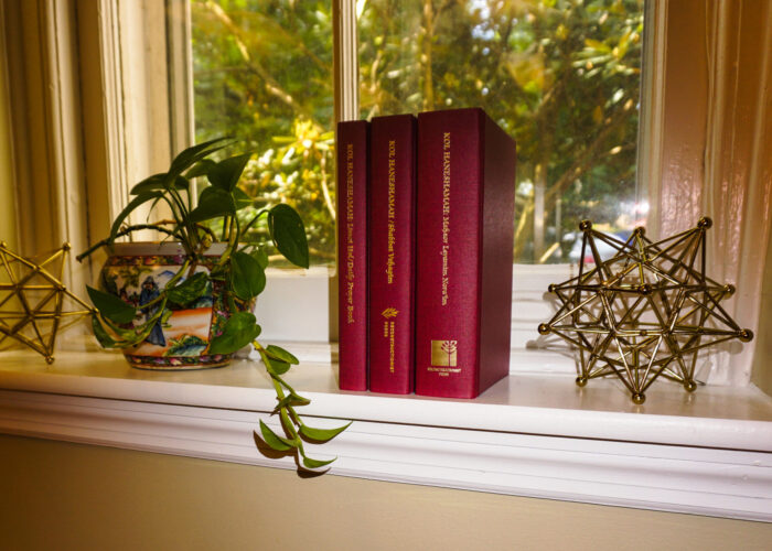 Books, a potted plant, and geometric sculptures on a window sill with a garden view.