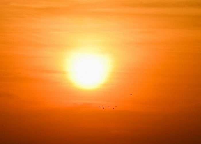 Bright orange sunset with a few birds silhouetted against the sky.