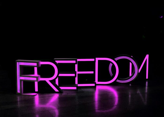 Neon sign spelling FREEDOM in pink, glowing against a dark background.