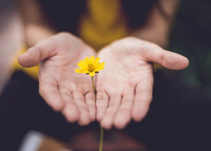 open hands with yellow flower