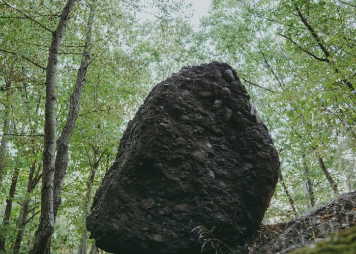 Large boulder balanced on a slope in a forest, surrounded by green trees and moss-covered ground.