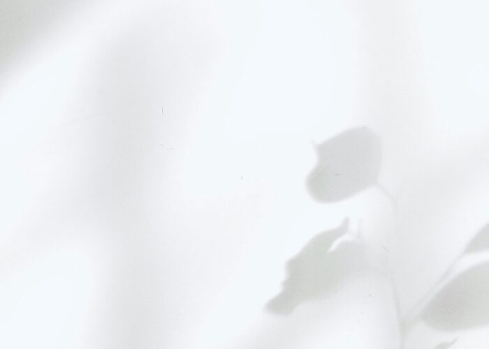 Soft shadows of leaves cast on a smooth, pale surface, creating a minimalistic and tranquil scene.