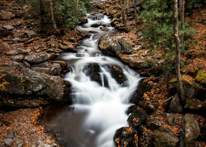 A cascading stream flows through a forest in autumn, surrounded by rocks and trees with yellow and orange leaves.