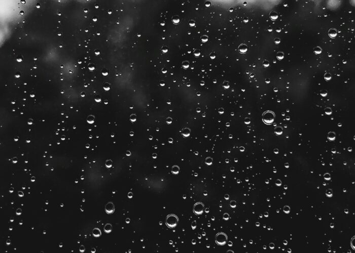 Raindrops on a window with a blurry view of trees in the background.