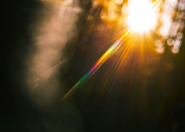 Sunlight shining through trees, creating a rainbow lens flare and soft, blurry light effects.