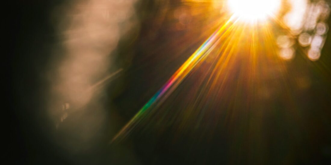 Sunlight shining through trees, creating a rainbow lens flare and soft, blurry light effects.