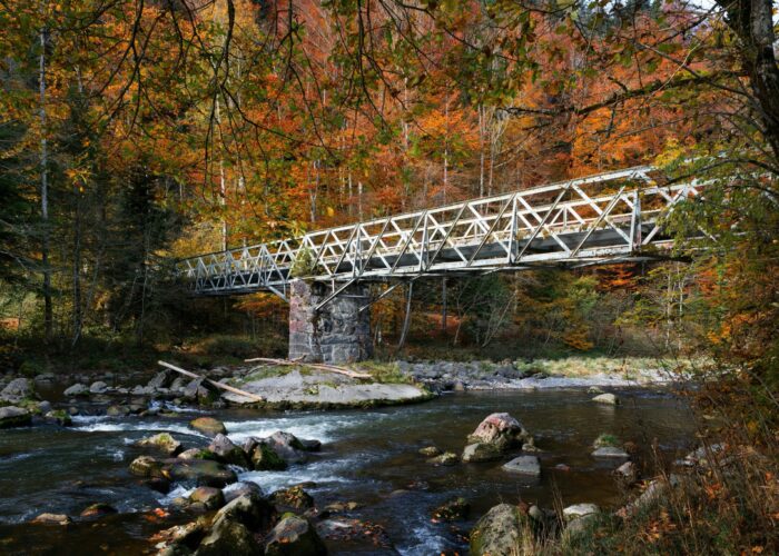 A metal bridge spans a rocky river in a forest with vibrant autumn foliage.