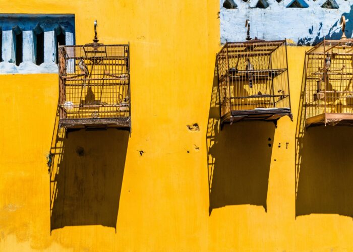 hanging bird cages against bright yellow wall