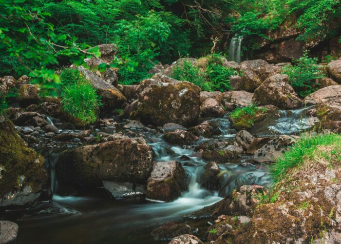 Rocky stream surrounded by lush green foliage, with a small waterfall in the background.